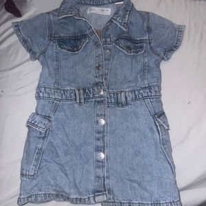 Zara Denim dress